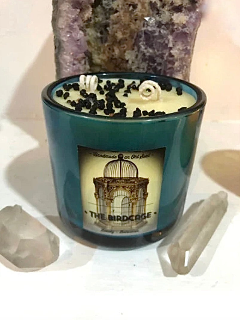 4 THIEVES oil blend * ~ with Organic Elderberries ~ Immunity Boost Candle~ Immune Defense ~Essential Oils ~All Natural ~ Soy Free*