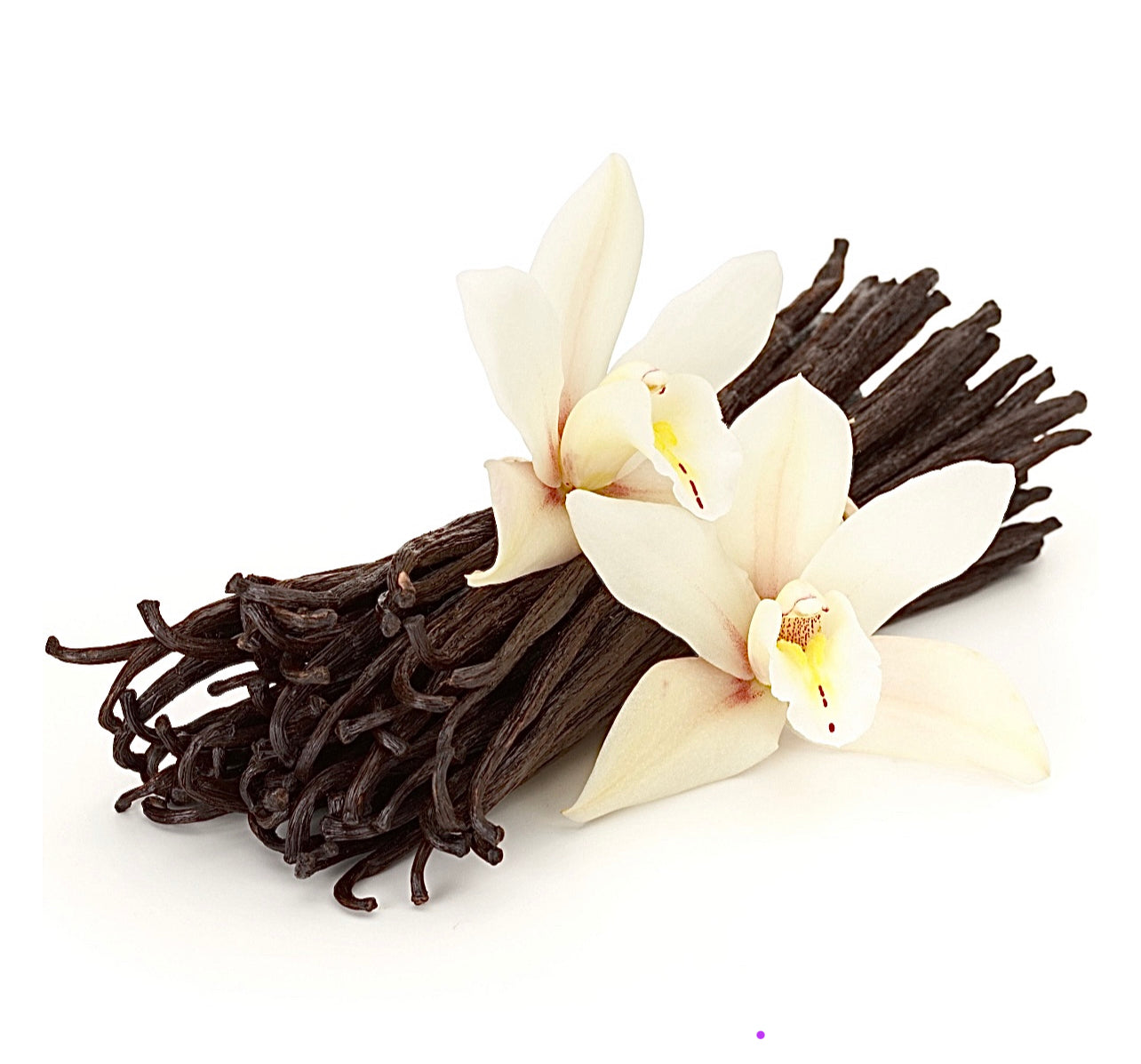 Creamsicle Candle ~ Orange & Vanilla ~ Essential Oil Handmade Candle ~ Soy Free* No Perfumes ~Handmade by an Old Soul~*