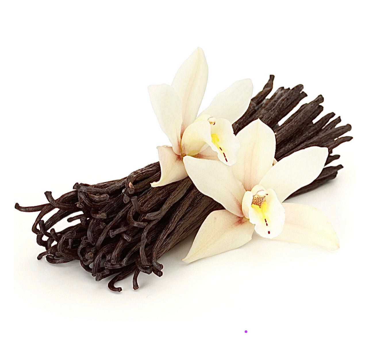 Vanilla & Cedarwood Atlas Organic Candle ~ Essential Oils ~ All Natural *~ No Perfumes ~ Hand Poured *