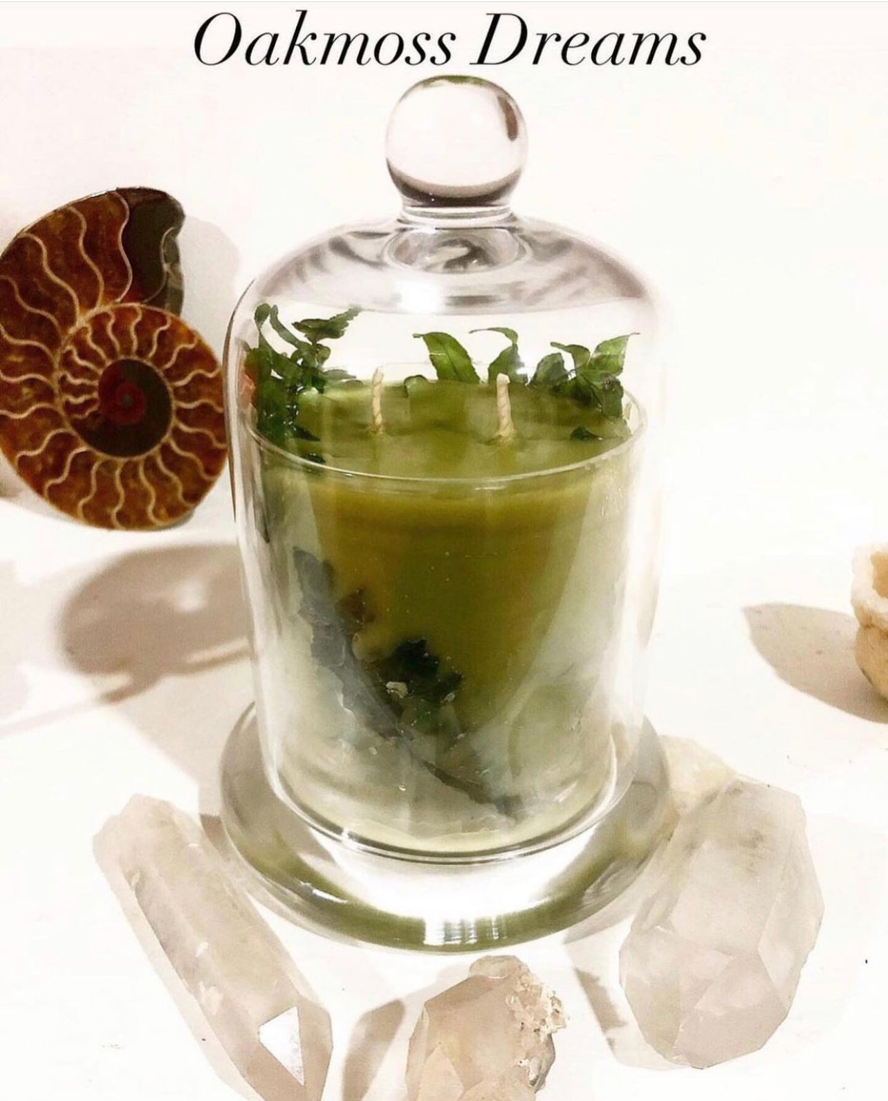 Hallow’s Eve Oakmoss Dreams ~ in honor of all Green Witches ~ All Natural Candle ~ Organic Wax ~ Oakmoss Essential Oil ~ Pure Magic *