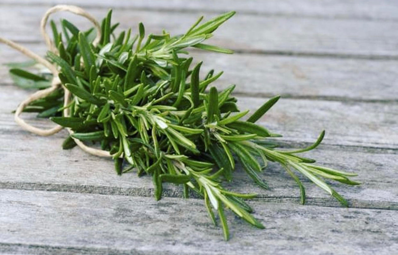 Timeless Toner ~ Jasmine Rice Water Toner w/Rosemary, Clary Sage, Rose & Apple Cider Vinegar with Natural Radish Root Preservative*