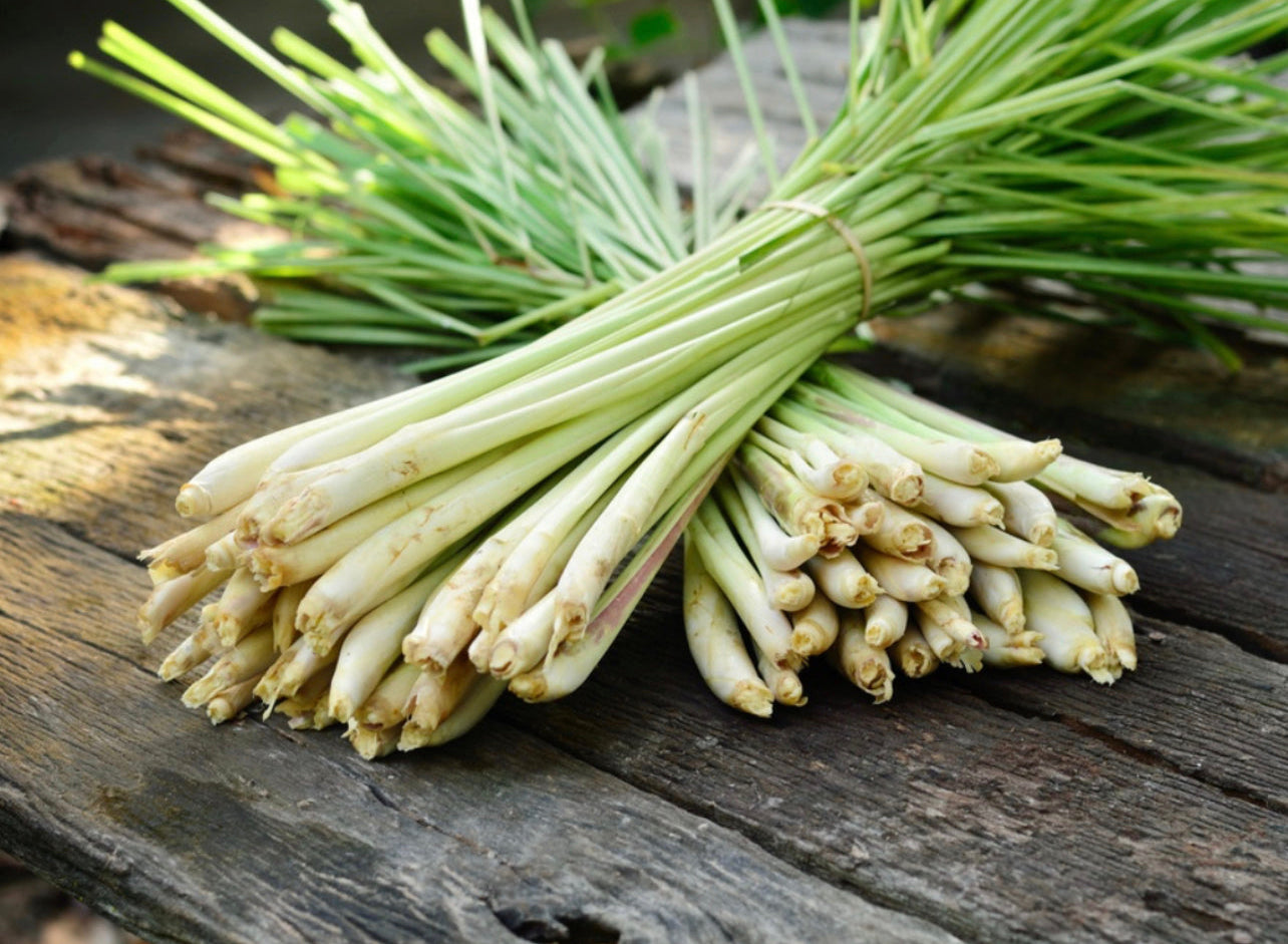 Patchouli & Lemongrass ~ Essential Oil Handmade Candle ~ Soy Free* No Perfumes ~Handmade by an Old Soul~*