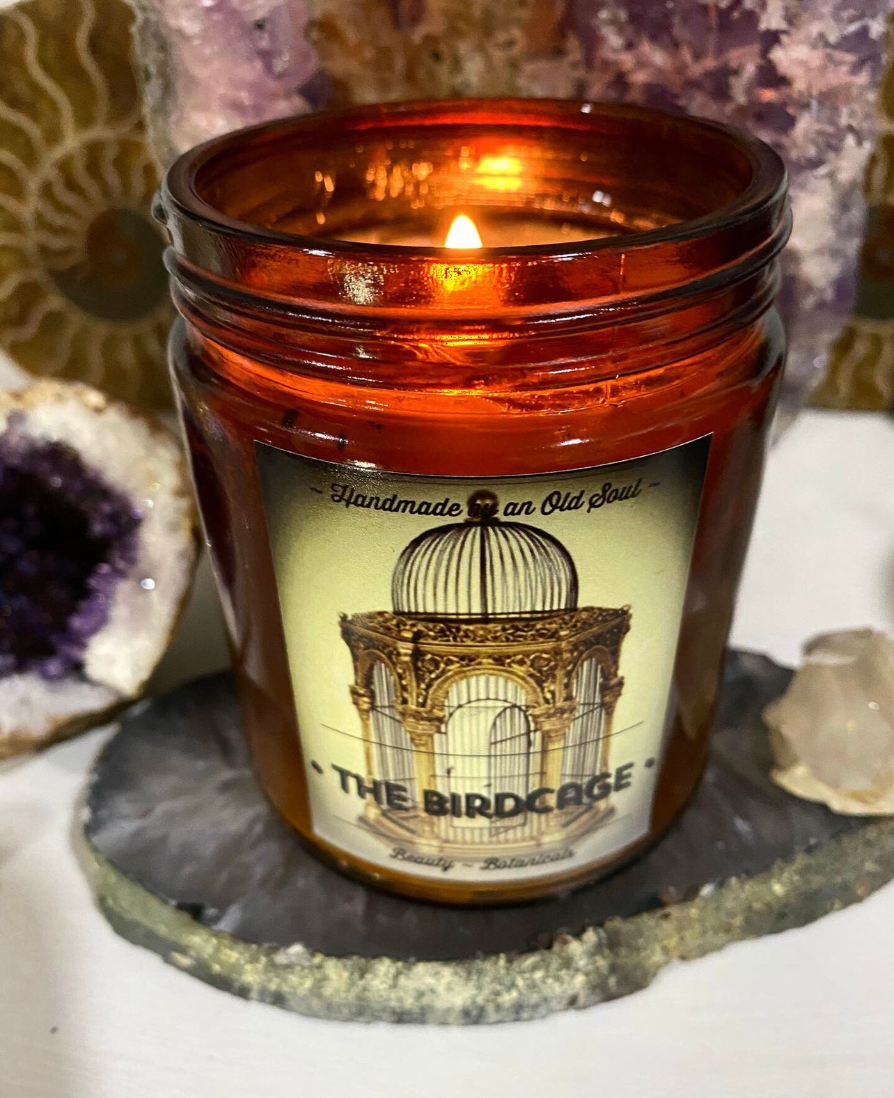 4 THIEVES oil blend * ~ with Organic Elderberries ~ Immunity Boost Candle~ Immune Defense ~Essential Oils ~All Natural ~ Soy Free*