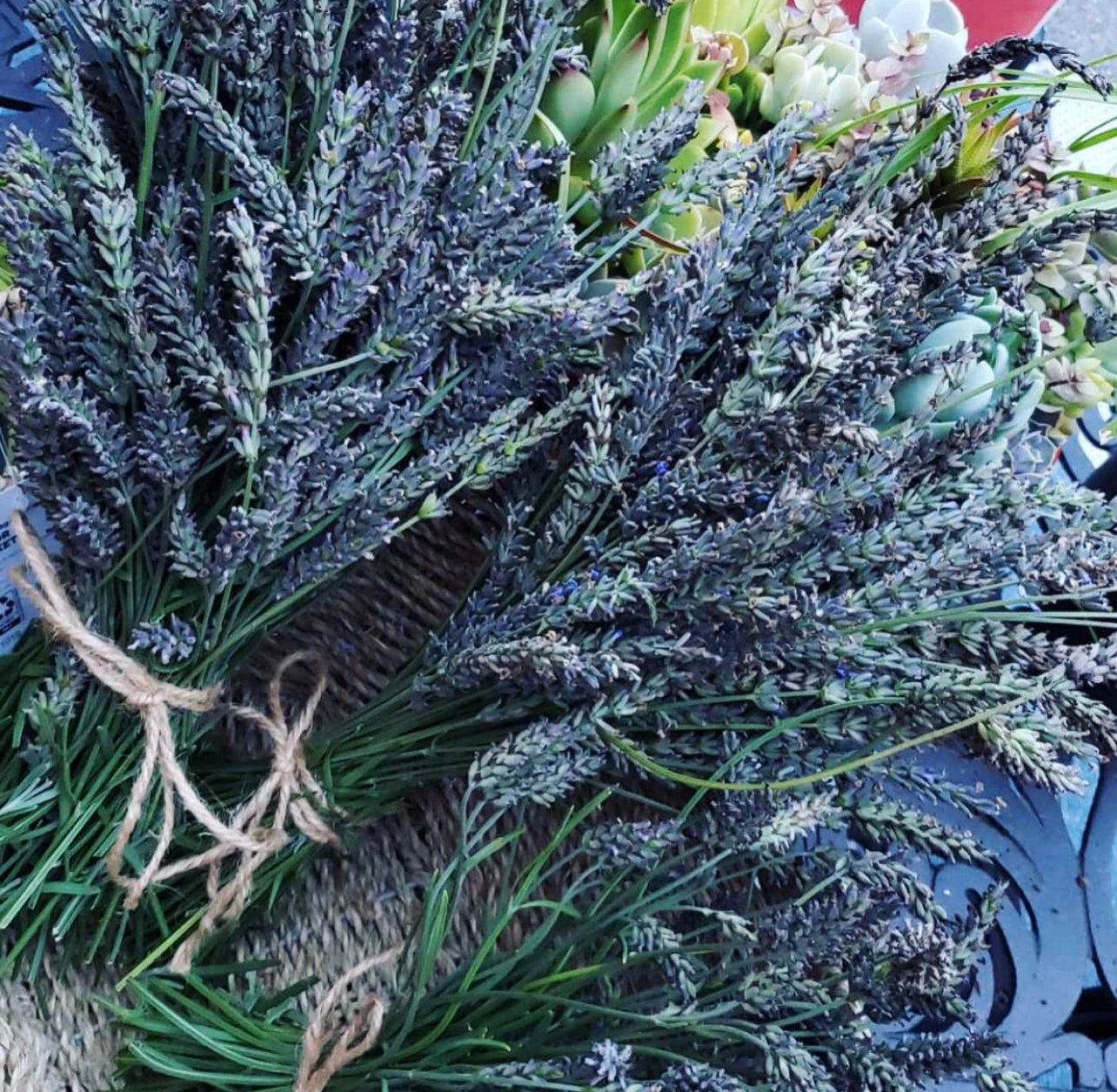 Vanilla, Lavender & Lemon Organic Beeswax Handmade Candles ~ Essential Oils ~ dried Lavender ~ Soy FREE* ~ Palm Oil FREE* ~ Paraffin FREE**