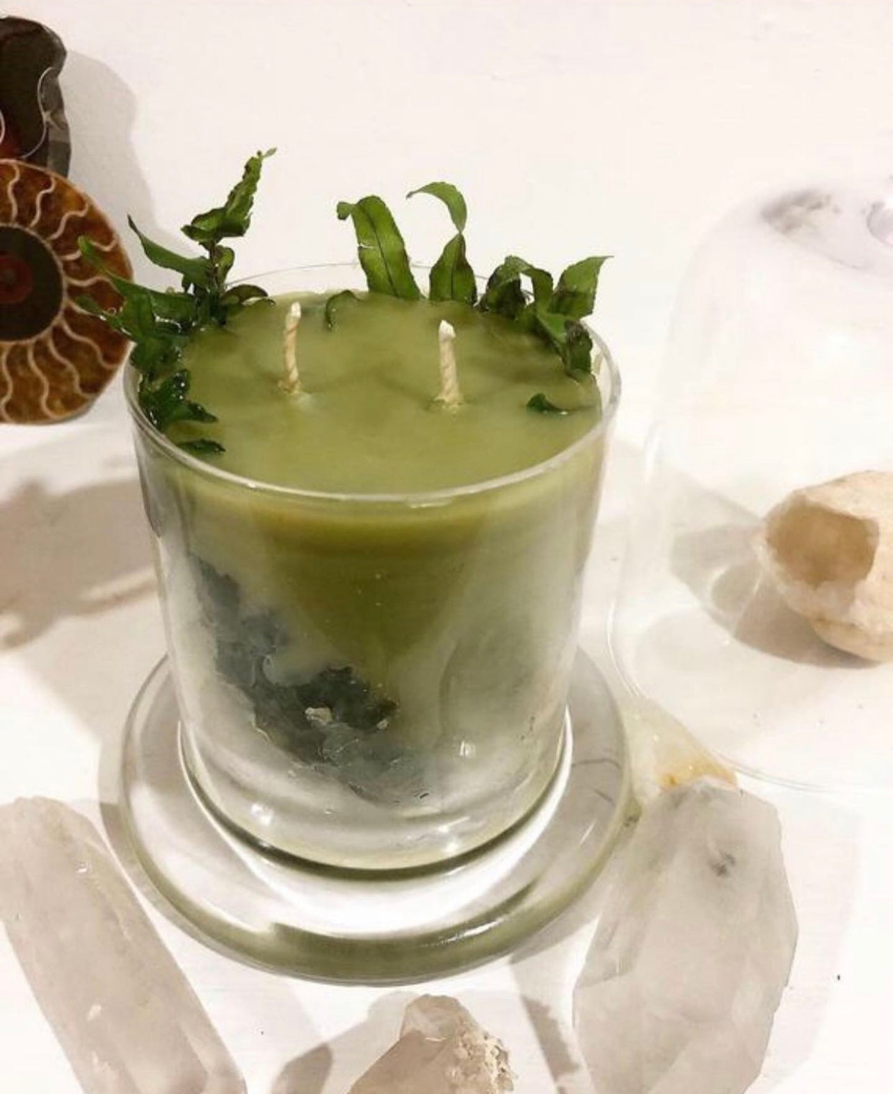 Hallow’s Eve Oakmoss Dreams ~ in honor of all Green Witches ~ All Natural Candle ~ Organic Wax ~ Oakmoss Essential Oil ~ Pure Magic *