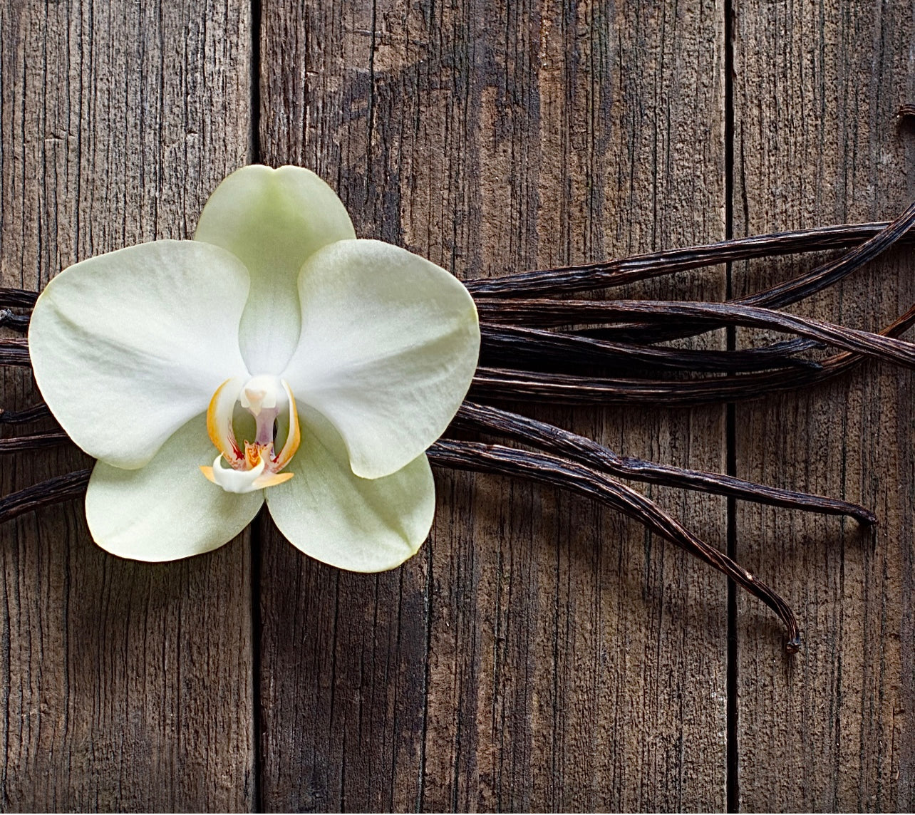 Creamsicle Candle ~ Orange & Vanilla ~ Essential Oil Handmade Candle ~ Soy Free* No Perfumes ~Handmade by an Old Soul~*