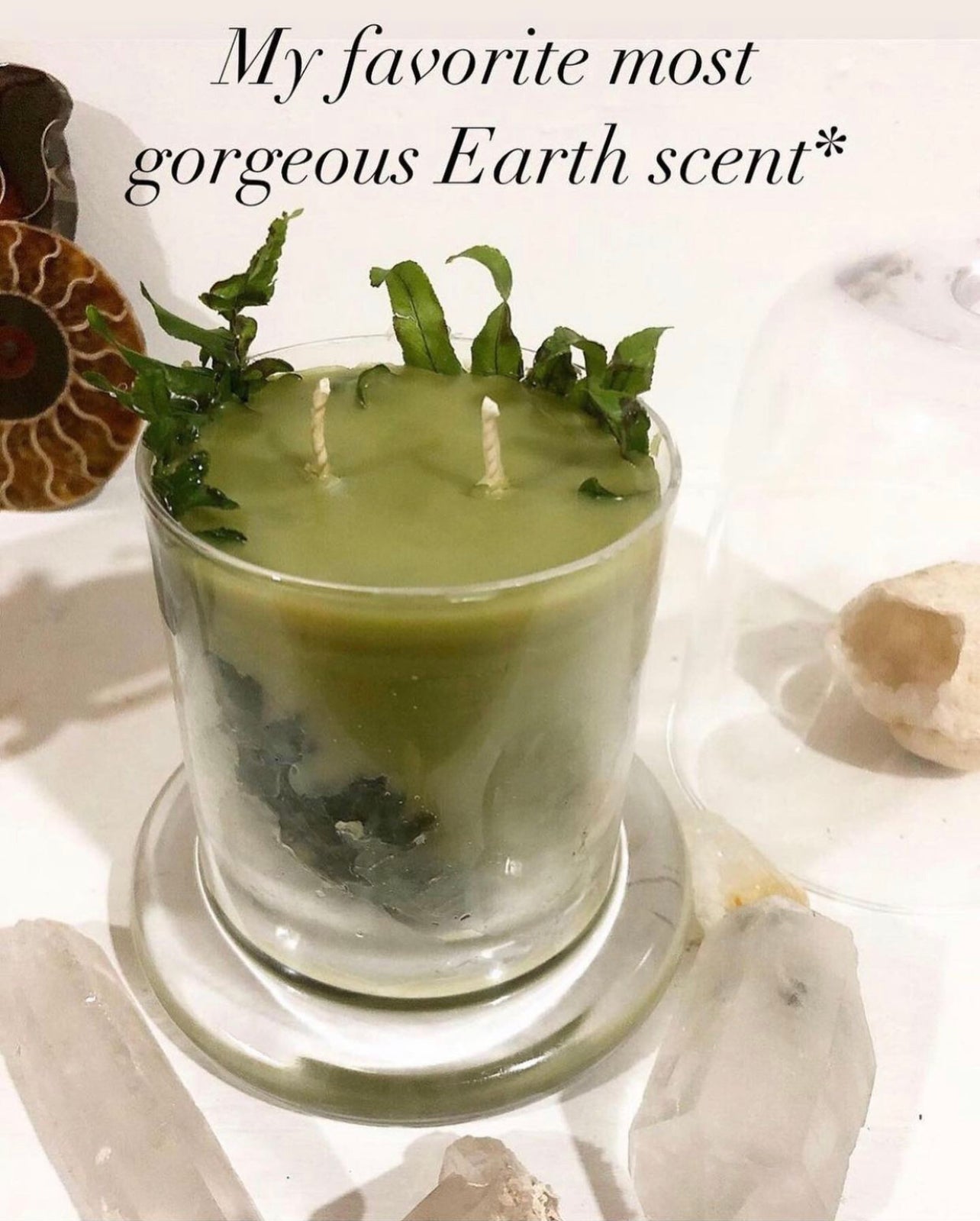 Hallow’s Eve Oakmoss Dreams ~ in honor of all Green Witches ~ All Natural Candle ~ Organic Wax ~ Oakmoss Essential Oil ~ Pure Magic *