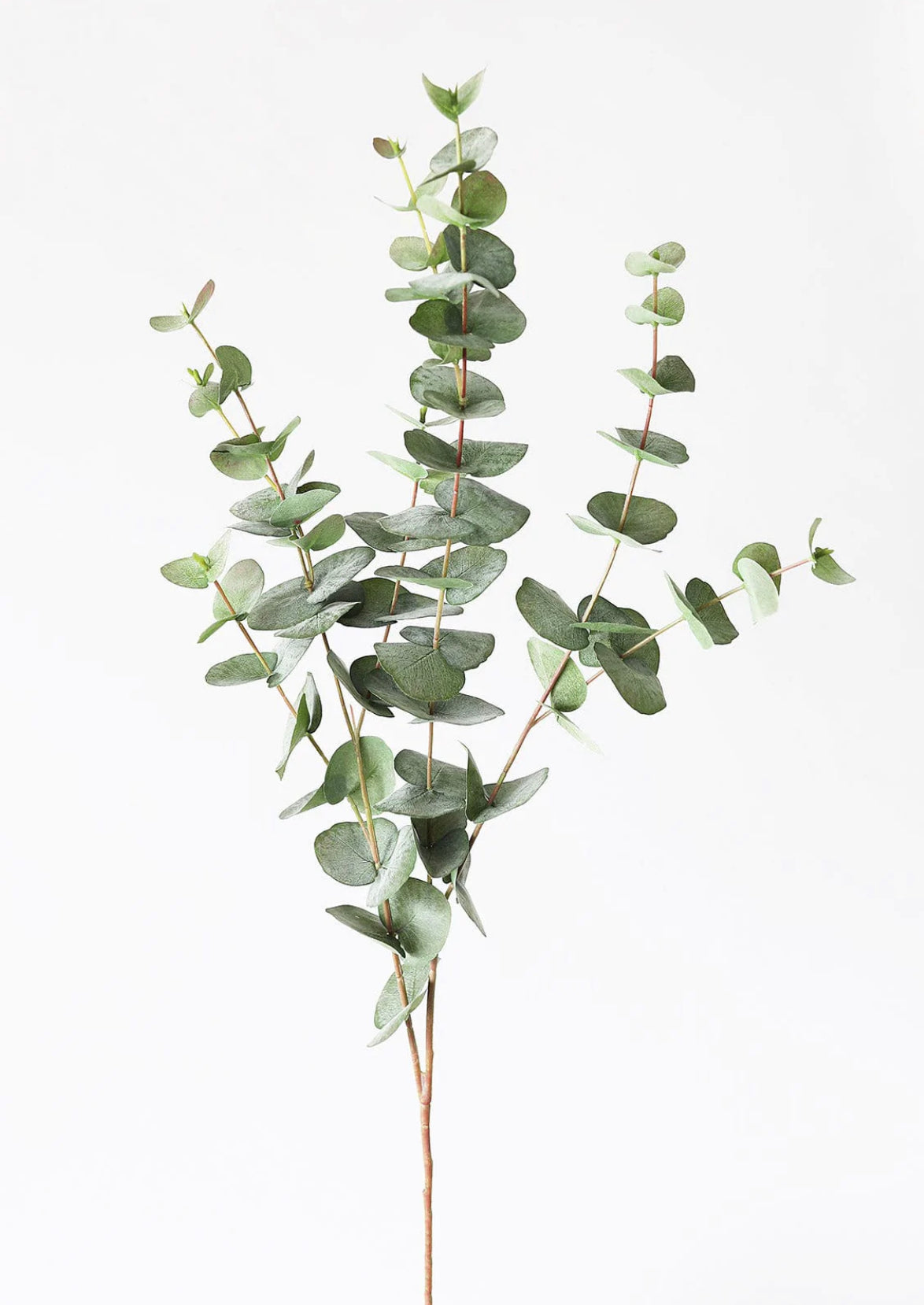 Eucalyptus & Sweet Orange Organic Beeswax Handmade Candles ~ Essential Oils* No Perfumes ~ Handmade by an Old Soul~*