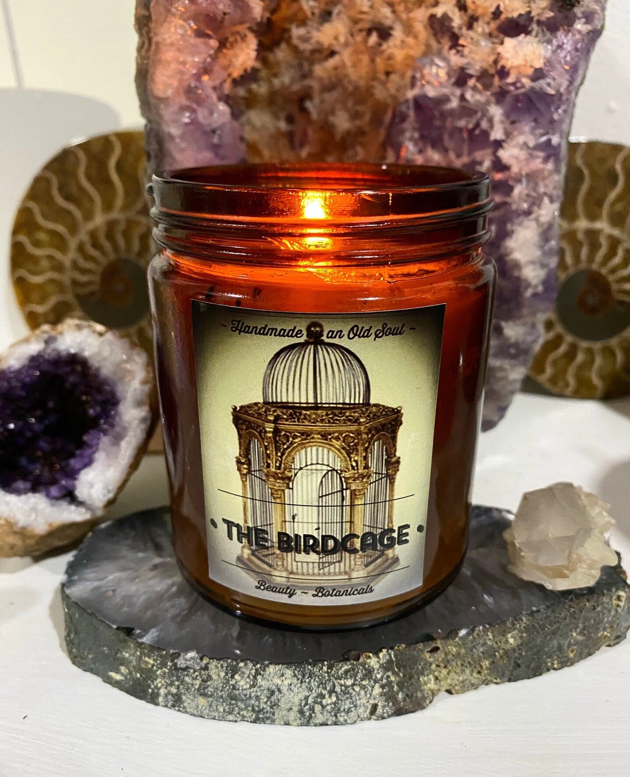 4 THIEVES oil blend * ~ with Organic Elderberries ~ Immunity Boost Candle~ Immune Defense ~Essential Oils ~All Natural ~ Soy Free*