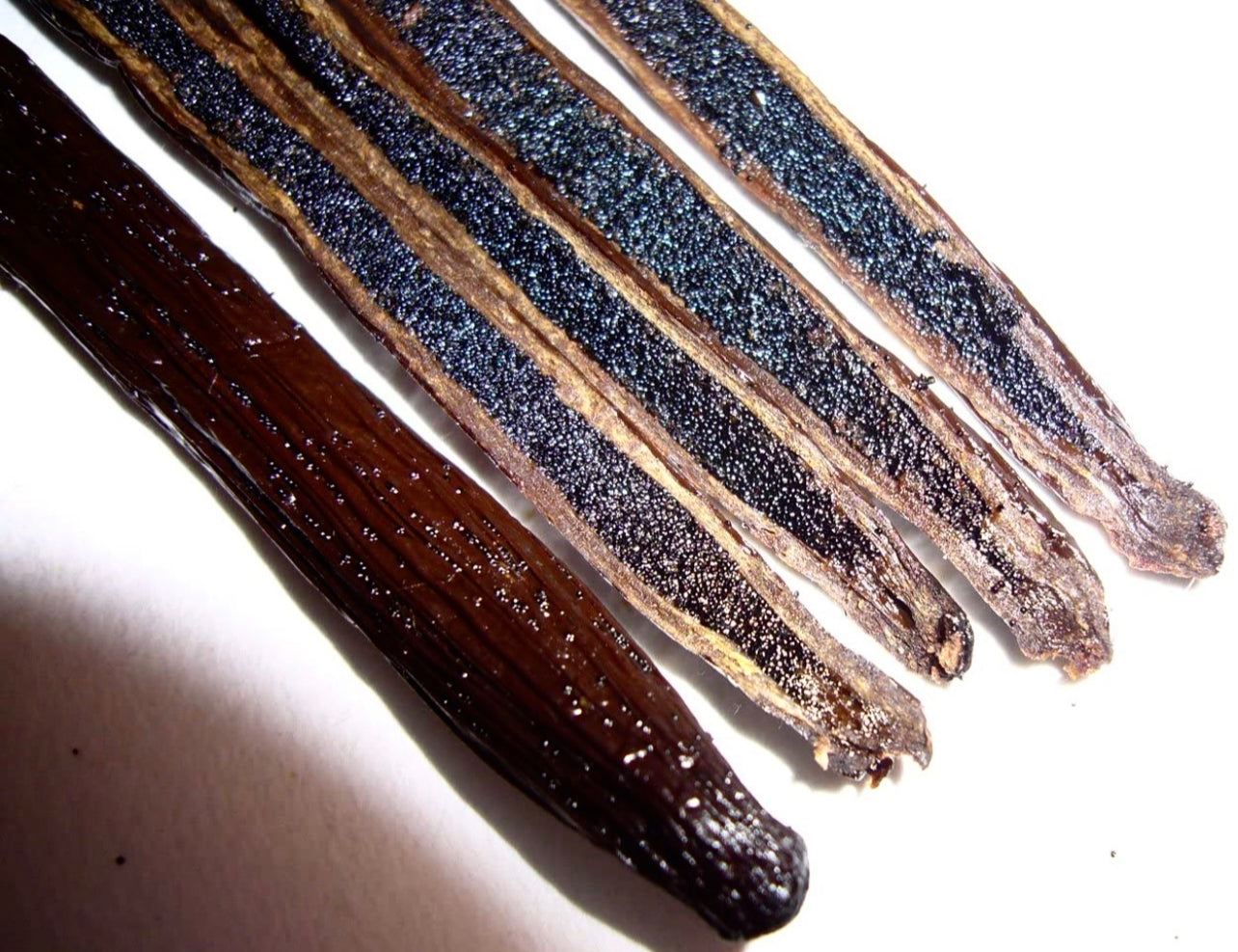 Creamsicle Candle ~ Orange & Vanilla ~ Essential Oil Handmade Candle ~ Soy Free* No Perfumes ~Handmade by an Old Soul~*