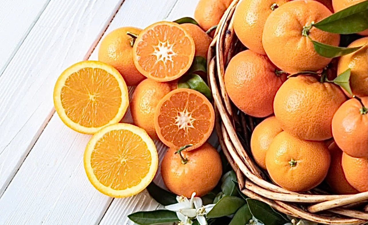 Creamsicle Candle ~ Orange & Vanilla ~ Essential Oil Handmade Candle ~ Soy Free* No Perfumes ~Handmade by an Old Soul~*