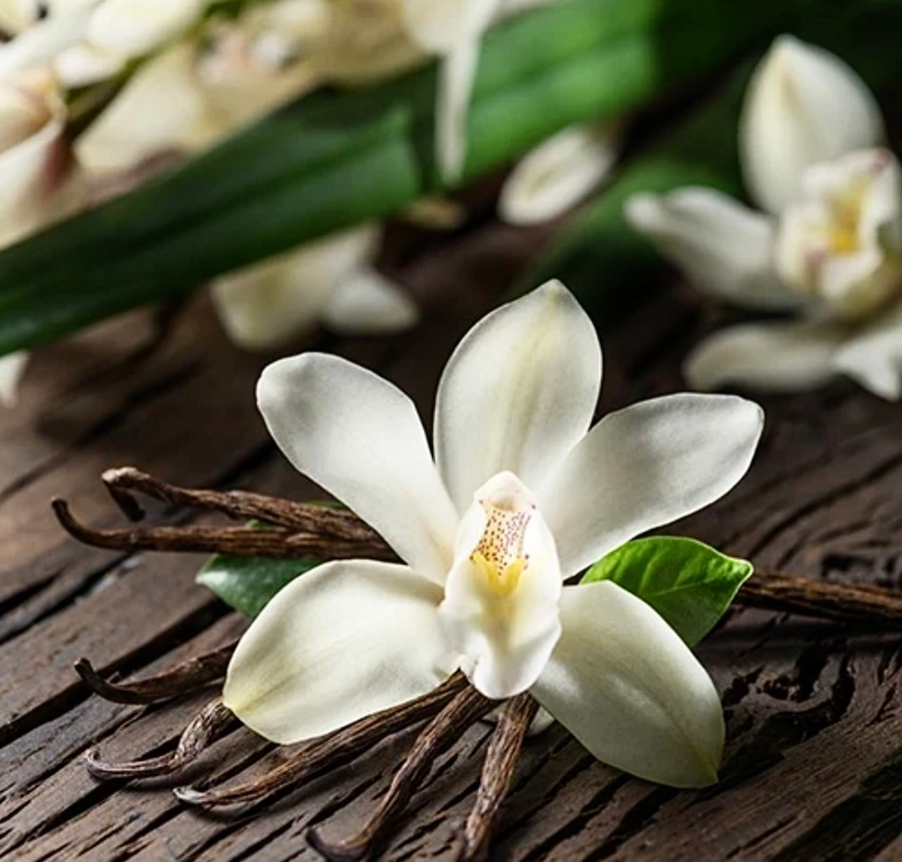 Vanilla, Lavender & Lemon Organic Beeswax Handmade Candles ~ Essential Oils ~ dried Lavender ~ Soy FREE* ~ Palm Oil FREE* ~ Paraffin FREE**