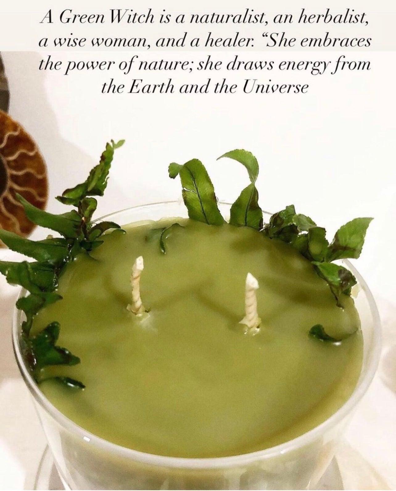 Hallow’s Eve Oakmoss Dreams ~ in honor of all Green Witches ~ All Natural Candle ~ Organic Wax ~ Oakmoss Essential Oil ~ Pure Magic *