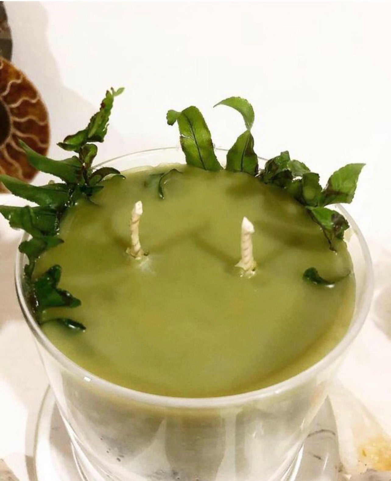 Hallow’s Eve Oakmoss Dreams ~ in honor of all Green Witches ~ All Natural Candle ~ Organic Wax ~ Oakmoss Essential Oil ~ Pure Magic *