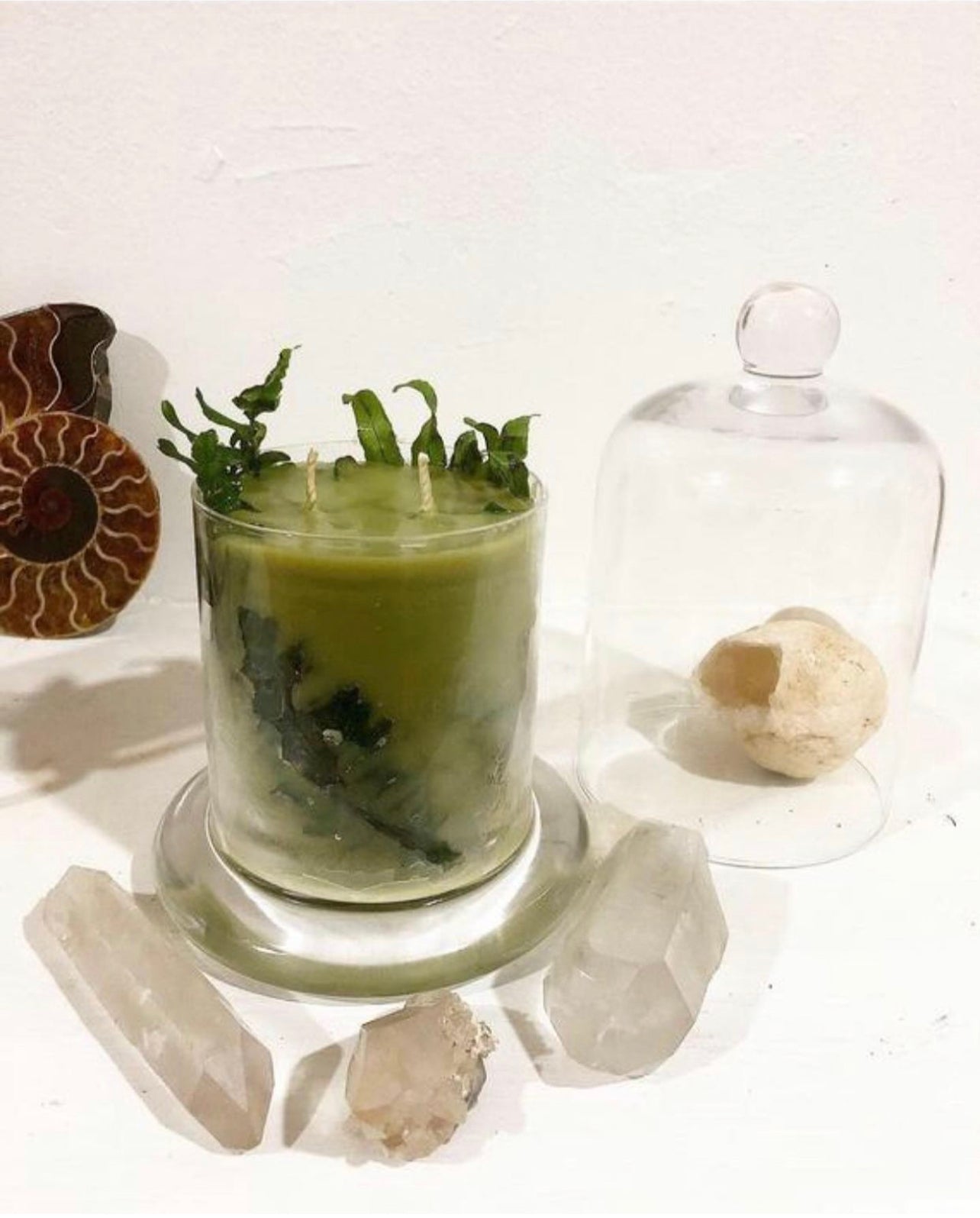 Hallow’s Eve Oakmoss Dreams ~ in honor of all Green Witches ~ All Natural Candle ~ Organic Wax ~ Oakmoss Essential Oil ~ Pure Magic *