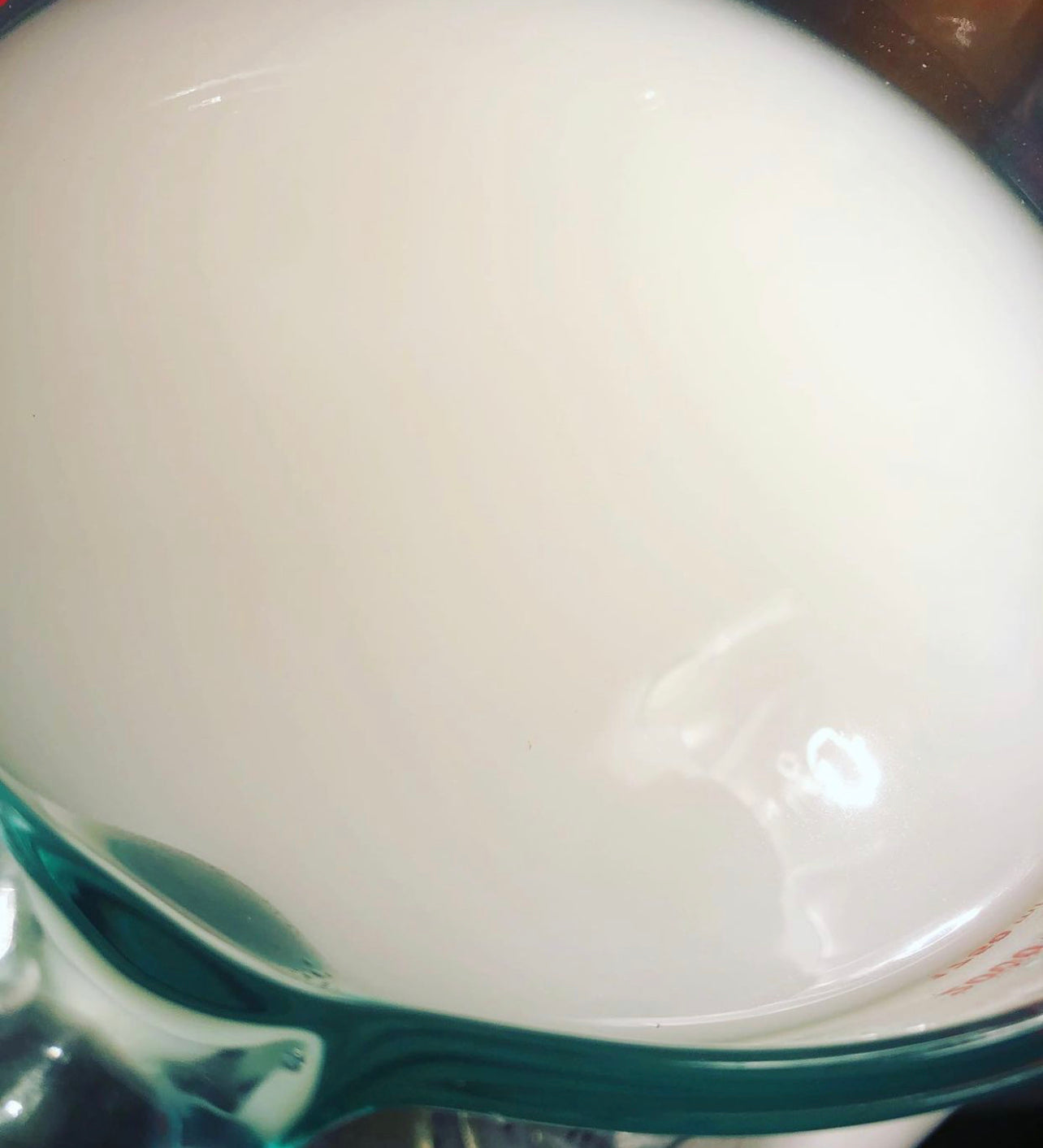 Timeless Toner ~ Jasmine Rice Water Toner w/Rosemary, Clary Sage, Rose & Apple Cider Vinegar with Natural Radish Root Preservative*