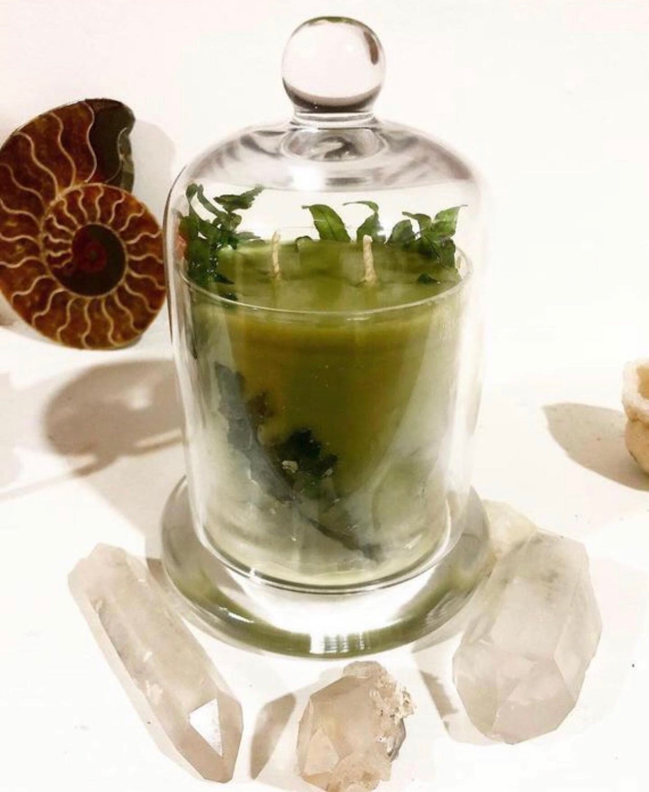 Hallow’s Eve Oakmoss Dreams ~ in honor of all Green Witches ~ All Natural Candle ~ Organic Wax ~ Oakmoss Essential Oil ~ Pure Magic *