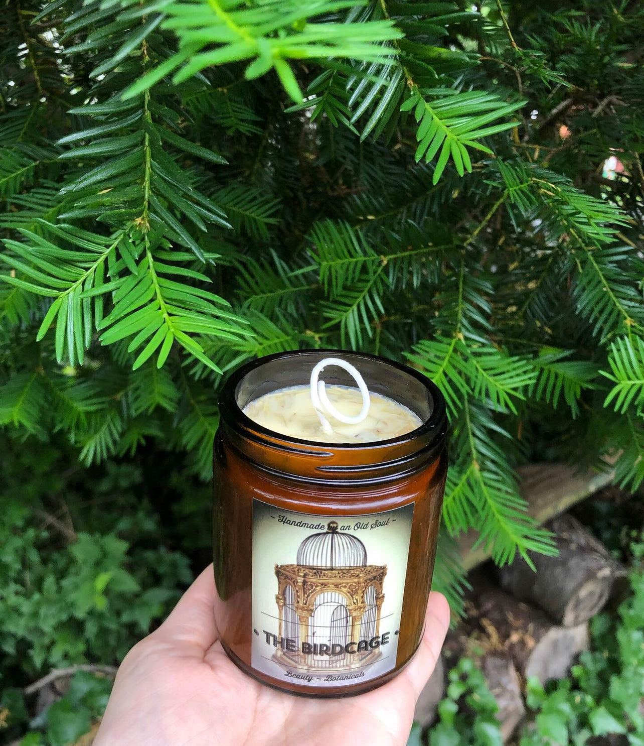 Cedarwood & Pine Organic Beeswax Candle ~ Essential Oils ~ No Perfumes All Natural ~ Soy Free