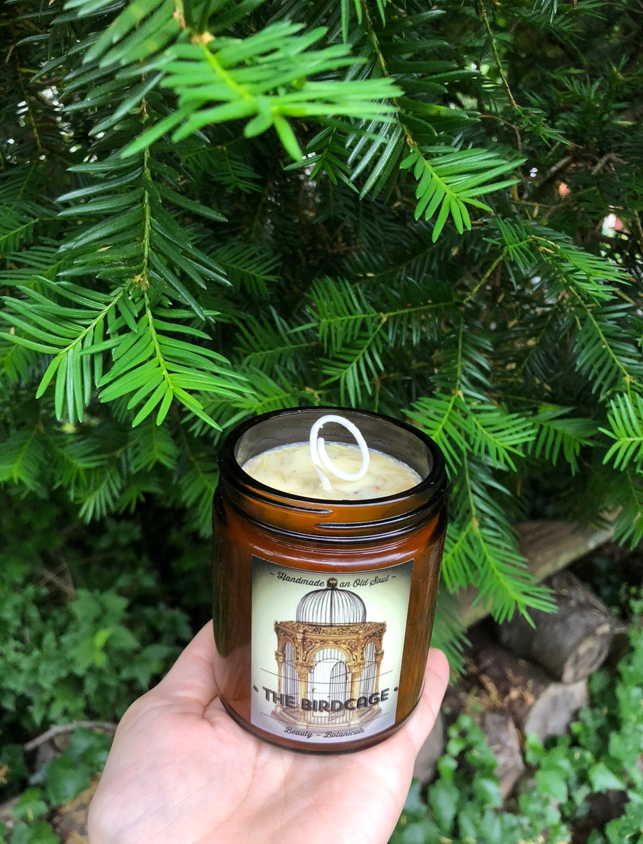 Cedarwood & Pine Organic Beeswax Candle ~ Essential Oils ~ No Perfumes All Natural ~ Soy Free